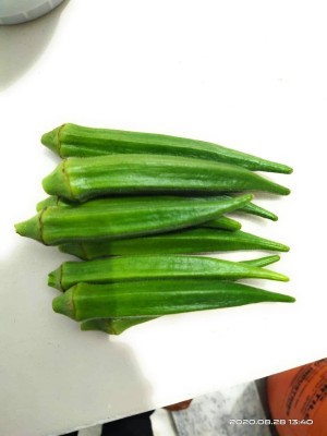 VibeX KGF -20 - Greens Okra / Lady Finger - (1350 Seeds) Seed(1350 per packet)