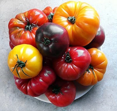 VibeX HUA-99 - Rainbow Deluxe Tomato Mix 16 Varieties - (1350 Seeds) Seed(1350 per packet)