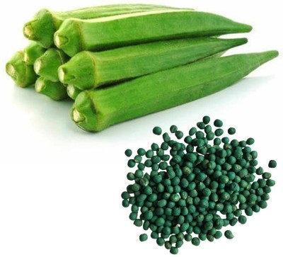 VibeX PUAS-43 - Okra (Ladies Finger) Vegetable - (450 Seeds) Seed(450 per packet)