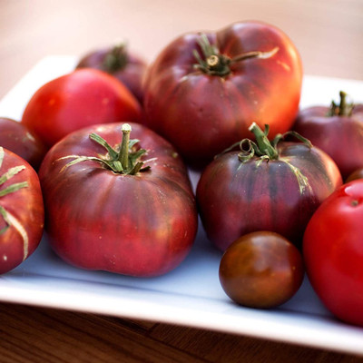 VibeX ® VXI-999 Tomato Seeds - Cherokee Purple Seed(200 per packet)