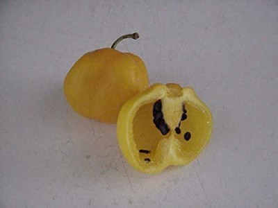 VibeX ® LXI-339 Yellow Mazano, Apple Chilli Seeds Can live over 15 years Seed(200 per packet)