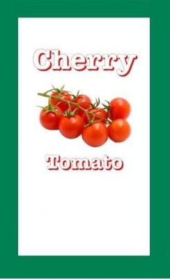 CYBEXIS HUA-48 - Cherry tomato - (1350 Seeds) Seed(1350 per packet)