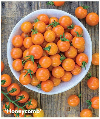 WILLVINE XL-318 Honeycomb Tomato Seeds Seed(200 per packet)