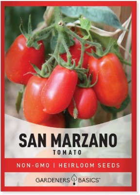 VibeX LXI-56 - San Marzano Tomato - (450 Seeds) Seed(450 per packet)