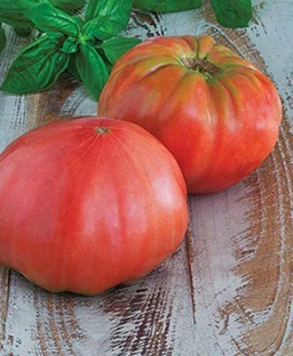 Biosnyg ™XLL-969 Tomato - 'Brandywine Black' Seed(200 per packet)