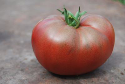 VibeX NBIR-93 - Tomato Black Large Russian - (1350 Seeds) Seed(1350 per packet)