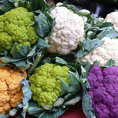 CYBEXIS XLR-23 - 4 Varieties Mix Purple Green Yellow Cauliflower - (150 Seeds) Seed(150 per packet)