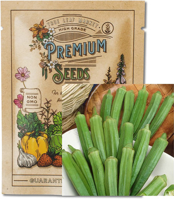 VibeX GUA-49 - Okra -Clemson Spineless Seed(150 per packet)