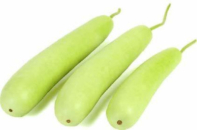 KANAYA BottleGourd Seeds For Home Gardening Seed(100 per packet)