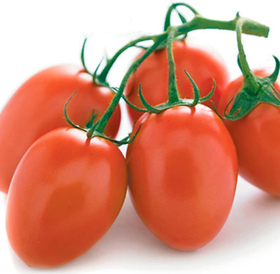CYBEXIS NBIR-42 - Roma Tomato - (1350 Seeds) Seed(1350 per packet)