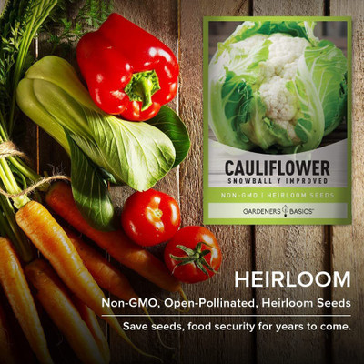 CYBEXIS PUAS-77 - Cauliflower - (Snowball Y Improved) - (1350 Seeds) Seed(1350 per packet)