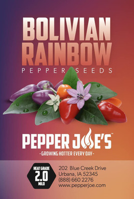 WILLVINE KGF -656 Bolivian Rainbow Pepper Seeds Seed(200 per packet)