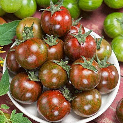 WILLVINE NBIR-552 Gum Drop Brown F1 Hybrid Cherry Tomato Seed(200 per packet)