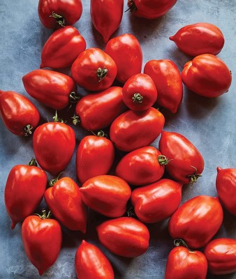 VibeX ® VMR-35 Big Mama Large Red Paste Tomato Seeds Seed(200 per packet)