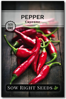 VibeX XLR-40 - Cayenne Pepper Chilli - (1350 Seeds) Seed(1350 per packet)