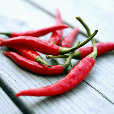 CYBEXIS PAU-79 - Cayenne Red Long Pepper Chilli - (1350 Seeds) Seed(1350 per packet)