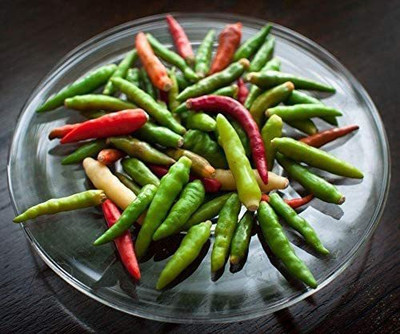 CYBEXIS LXI-90 - Thai Bird Eye Chili Pepper - (1350 Seeds) Seed(1350 per packet)