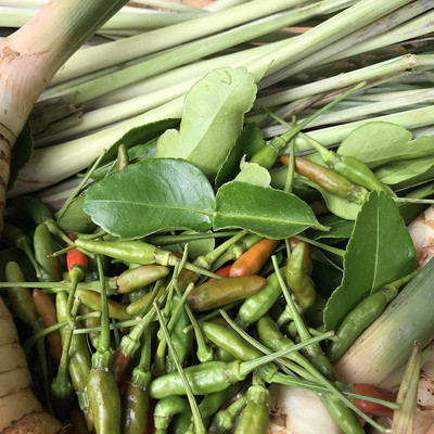 CYBEXIS NDIR-85 - Thai Bird's Eye Chili Peppers - (1350 Seeds) Seed(1350 per packet)