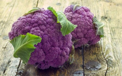 VibeX LXI-39 - Cauliflower Purple - (450 Seeds) Seed(450 per packet)