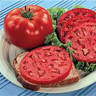CYBEXIS ATS-84 - Whopper Improved Tomato - (1350 Seeds) Seed(1350 per packet)