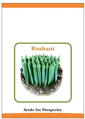 CYBEXIS PUAS-26 - Okra F1 Hybrid Imported Vegetable - (1350 Seeds) Seed(1350 per packet)