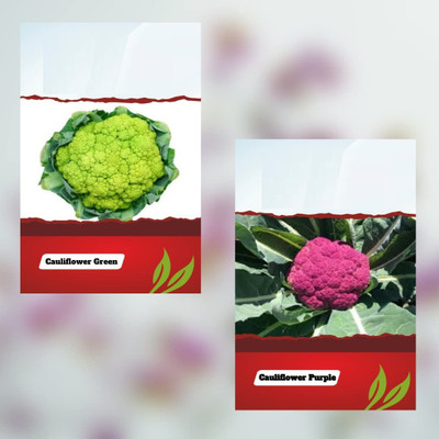 CYBEXIS LXI-39 - Cauliflower F1 Hybrid (Mixed) - (150 Seeds) Seed(150 per packet)
