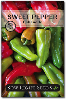 CYBEXIS GBPUT-44 - Cubanelle Pepper Chilli - (1350 Seeds) Seed(1350 per packet)