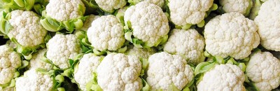 VibeX HUA-14 - Brassica oleracea Cauliflower Snowball - (1350 Seeds) Seed(1350 per packet)