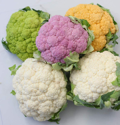 CYBEXIS VXI-87 - Cauliflower Cabbage Mix - (1350 Seeds) Seed(1350 per packet)