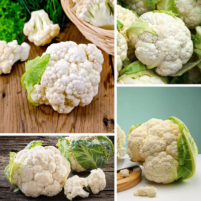 VibeX VXI-70 - Cauliflower for Planting Non-GMO - (1350 Seeds) Seed(1350 per packet)