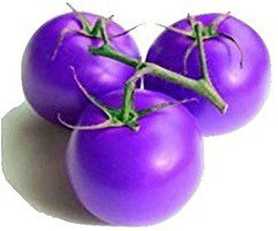 VibeX ® VXI-1132 Indigo Rose Purple Tomato Seed(200 per packet)