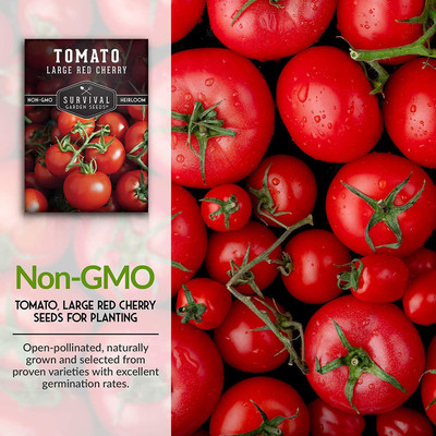 VibeX NBIR-76 - Large Red Cherry Tomato - (1350 Seeds) Seed(1350 per packet)