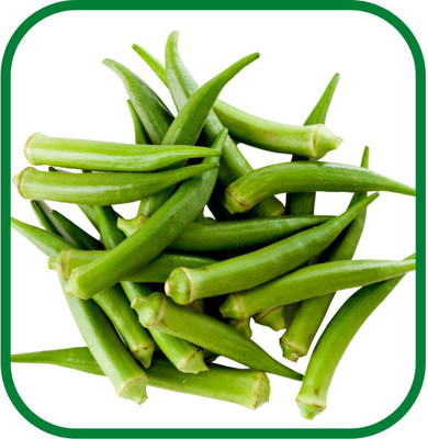 CYBEXIS VVI-89 - Okra Seven Lines Bhindi/Lady Finger - (1350 Seeds) Seed(1350 per packet)