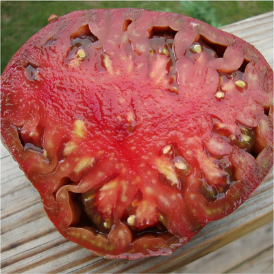 VibeX ® VXI-446 Black Krim tomato seeds Seed(200 per packet)