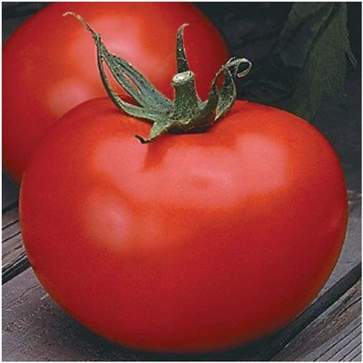 VibeX ® XLR-330 Seeds Tomato Slicing Better Boy (Red) Seed(200 per packet)