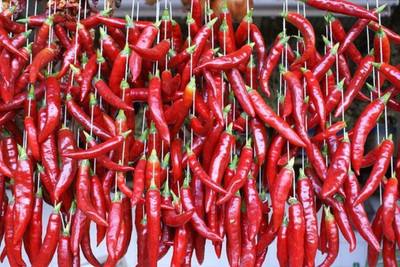 CYBEXIS Chilli Pepper Seed(150 per packet)