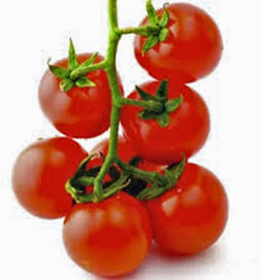 VibeX Tomato Seed(200 per packet)