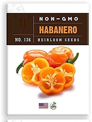VibeX VXI-2 - Habanero Pepper Chilli - (1350 Seeds) Seed(1350 per packet)