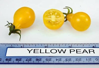 VibeX ® RXI-745 Yellow Pear Tomato Seeds Seed(200 per packet)