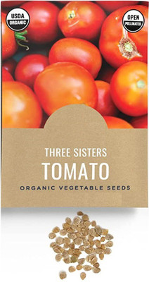 CYBEXIS PAU-96 - Three Sisters Tomato - (1350 Seeds) Seed(1350 per packet)