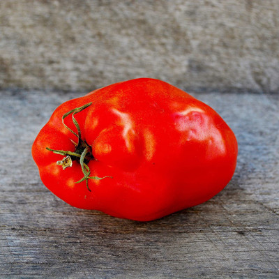 WILLVINE NBIR-468 Opalka Heirloom Tomato-250 Seeds Seed(250 per packet)