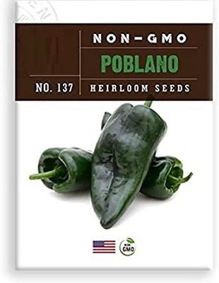 VibeX NBIR-8 - Poblano Chilli Pepper - (1350 Seeds) Seed(1350 per packet)