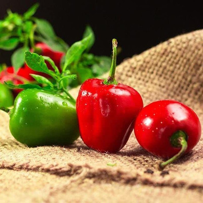 Biosnyg ®LXI-474 Red Manzano Chilli Seed(200 per packet)