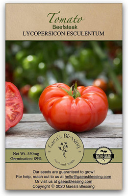 WILLVINE XLL-579 Tomato Seeds - Beefsteak Seed(200 per packet)