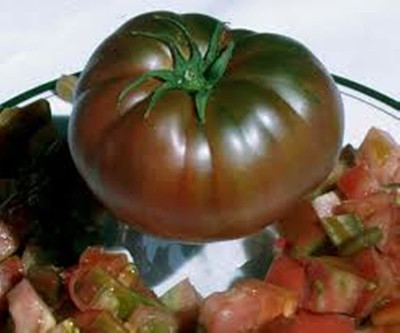VibeX VVI-38 - Black Prince Tomato Non GMO - (1350 Seeds) Seed(1350 per packet)
