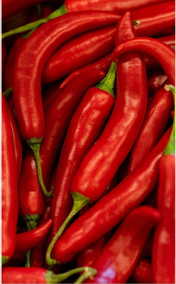 VibeX PAU-45 - Red Cayenne Chilli Pepper - (150 Seeds) Seed(150 per packet)