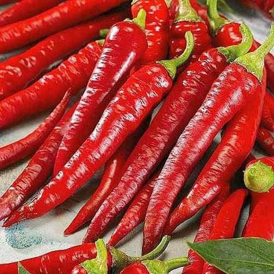 VibeX GBPUT-44 - Hot Long Red Chilli Non GMO - (1350 Seeds) Seed(1350 per packet)