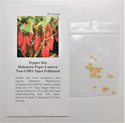 Biosnyg Habanero Chilli Seed(200 per packet)