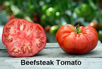 VibeX XLL-69 - Beefsteak Tomato - (1350 Seeds) Seed(1350 per packet)