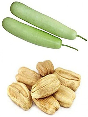 KANAYA Bottle Lauki/Dudhi, Lagenaria Siceraria, Vegetable Seed(10 per packet)